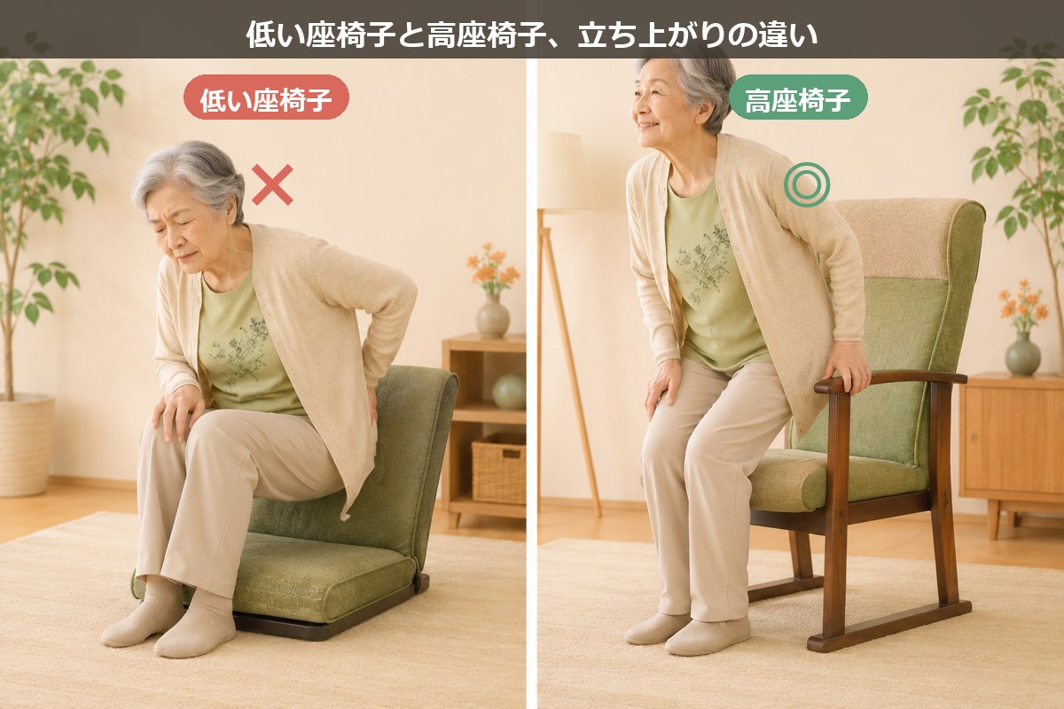 低い座椅子と高座椅子の立ち上がりの違い