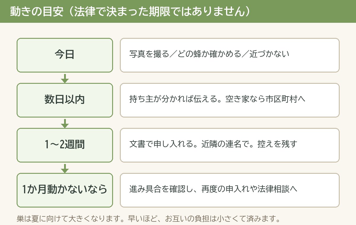 隣の家の蜂の巣で困ったときの動きの目安（今日・数日以内・1〜2週間・1か月）