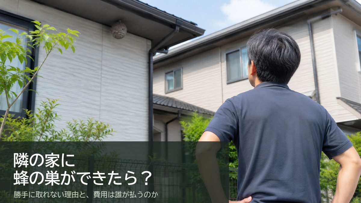 隣の家の軒下にできた蜂の巣を見上げる男性の後ろ姿