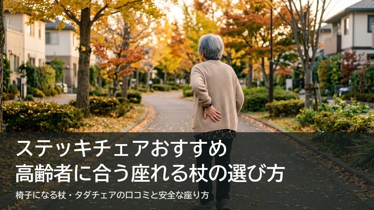公園の小道の途中で立ち止まり、腰に手を当てて休む高齢の女性の後ろ姿(ステッキチェアのおすすめ記事のアイキャッチ)